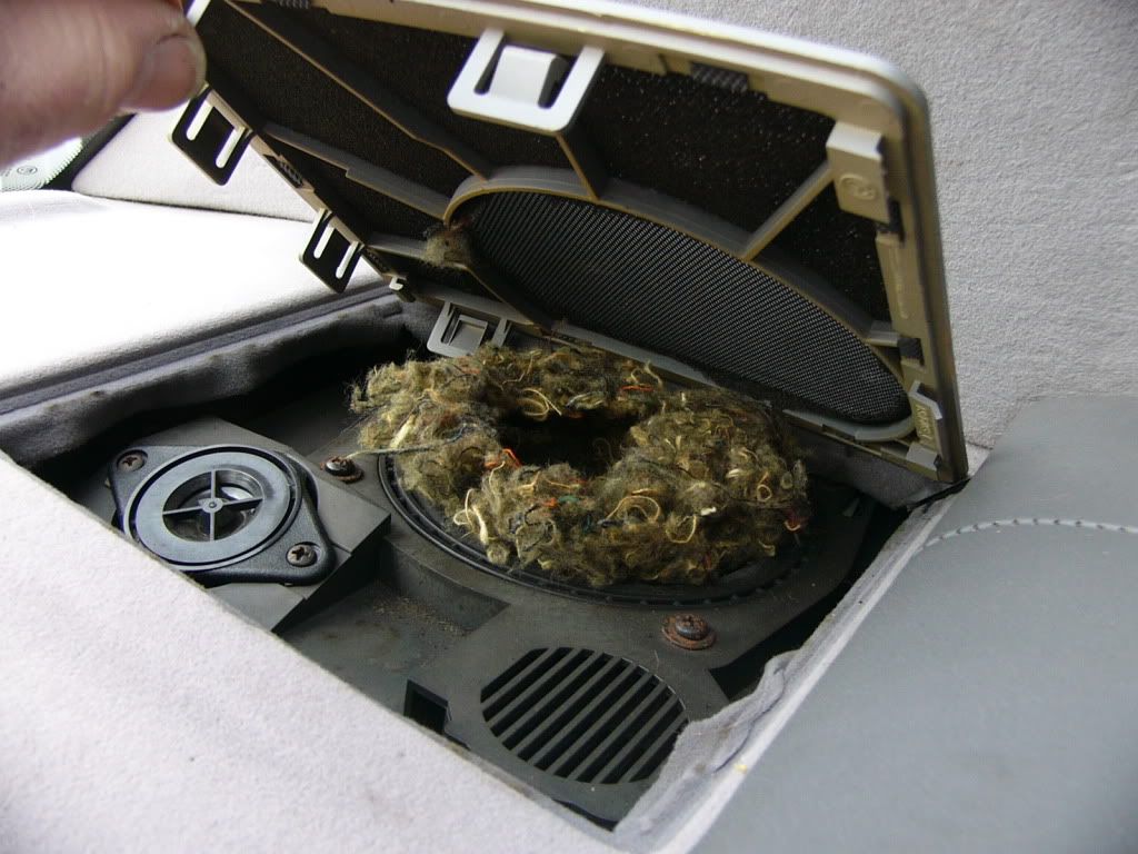 Found Rear Speaker rattle